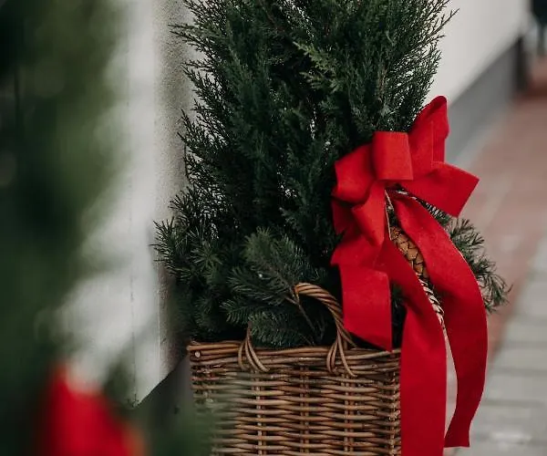 Enjoythealps - Barbara * Flachau