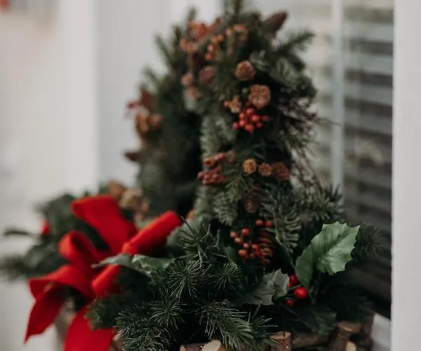 Enjoythealps - Barbara Флахау